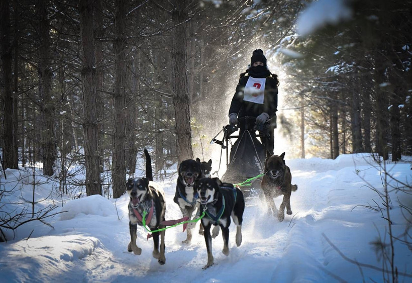 AA'nın 'Yılın Kareleri' oylaması başladı - Resim: 11