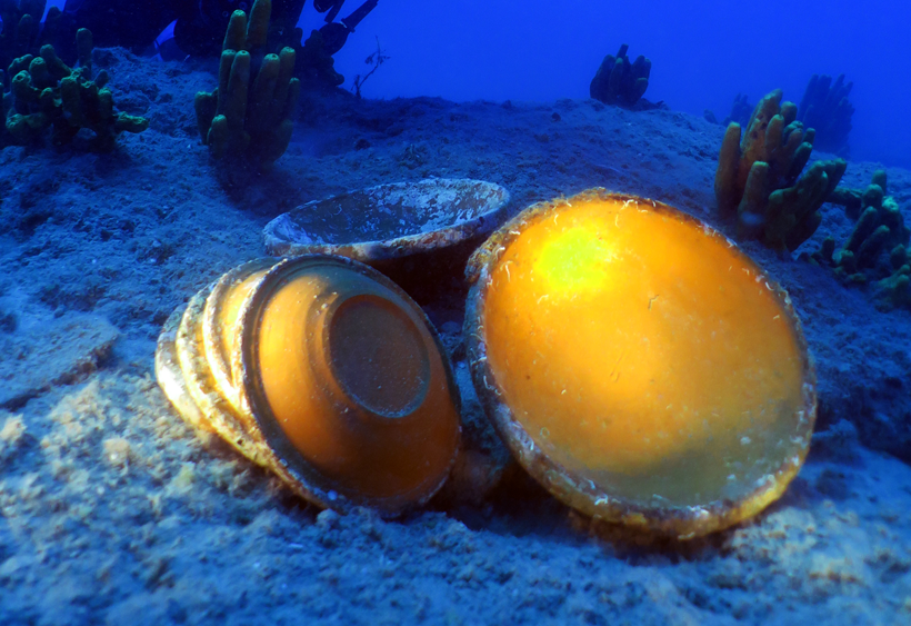 Ayvalık'ta 1500 yıllık ticaret gemisi batığı bulundu! M&uuml;ze a&ccedil;acak kadar buluntuya ulaşıldı - Resim : 1