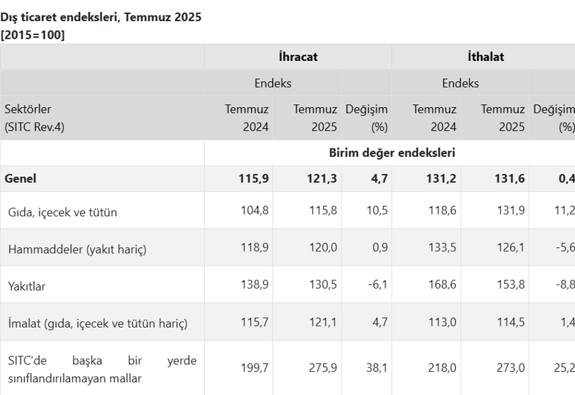 TÜİK açıkladı: Temmuz ayı dış ticaret endeksi belli oldu! - Resim : 4