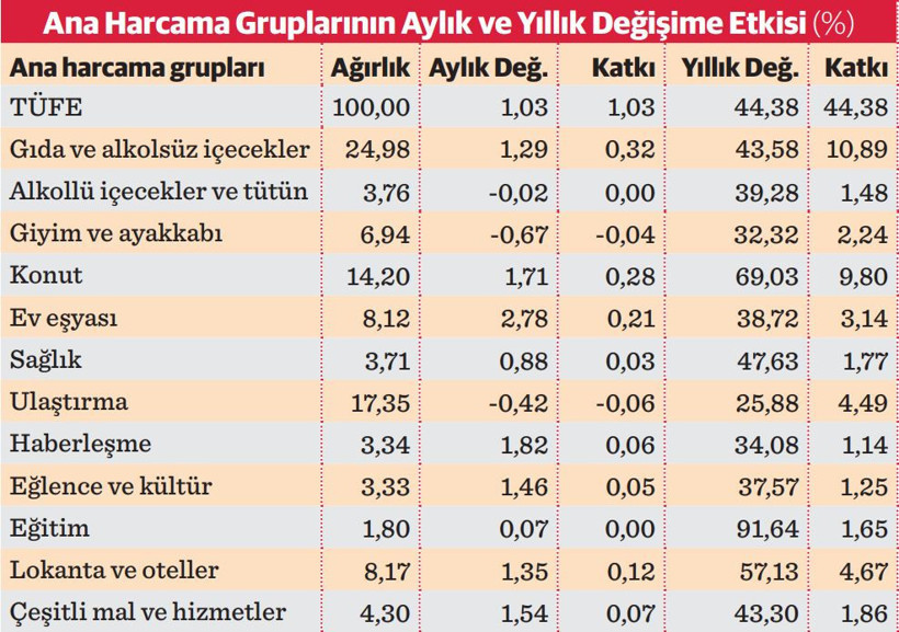 Tüketici enflasyonu son bir yılda 20 puan aşağı indi: 2024’ün enflasyonu yüzde 44,38 - Resim : 1