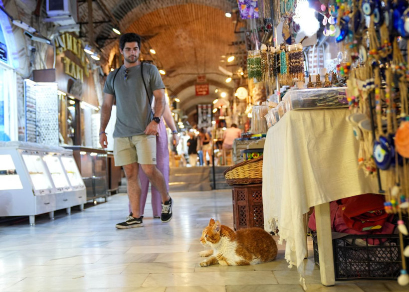 Garfield Tarçın tarihi hanın gözbebeği oldu! Şehir dışından ziyarete geliyorlar - Resim: 17