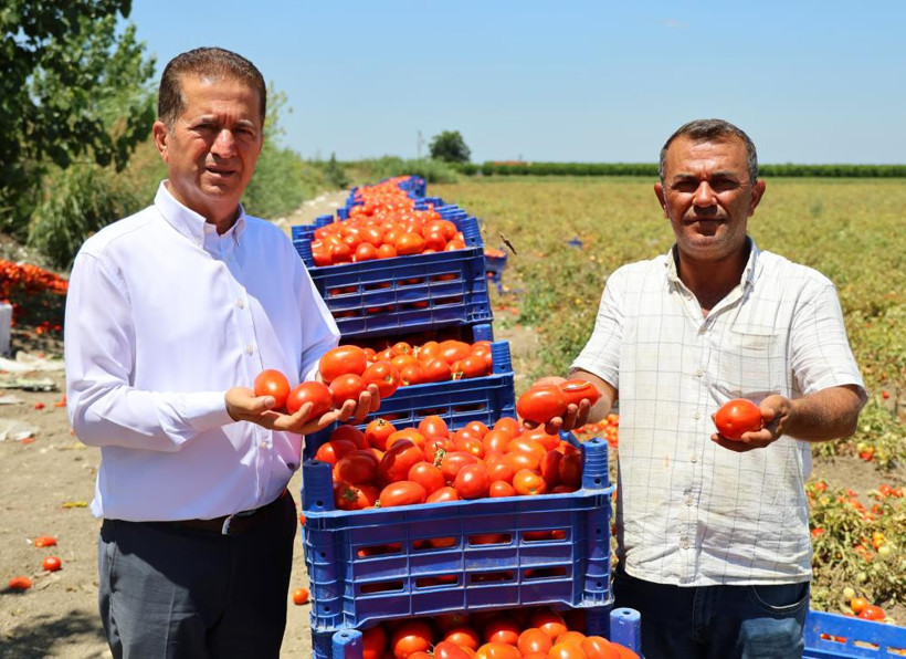 Üretici fiyatlardan dertli: Tarlada domatesin fiyatı 3 lira - Resim : 2