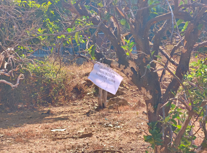 Antalya’da şoke eden anlar: Saldırgan at, babasının kucağından ısırarak aldığı çocuğu metrelerce fırlattı - Resim : 2