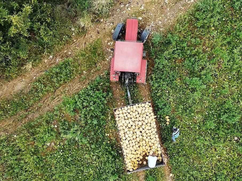 Bilecik'teki 'Medetli kavunu' İstanbul yolunda - Resim: 5