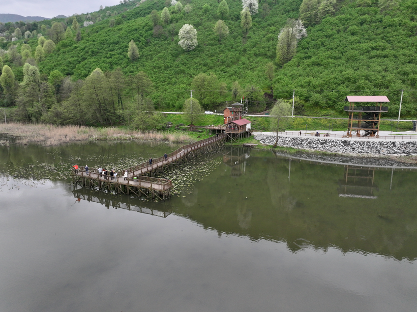 Efteni Kuş Cenneti'nden muhteşem doğa manzaraları! Doğanın keyfini çıkartmak isteyenlere yeşil rota - Resim: 4