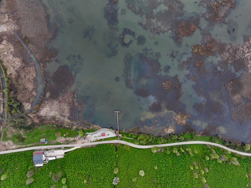 Efteni Kuş Cenneti'nden muhteşem doğa manzaraları! Doğanın keyfini çıkartmak isteyenlere yeşil rota - Resim: 1