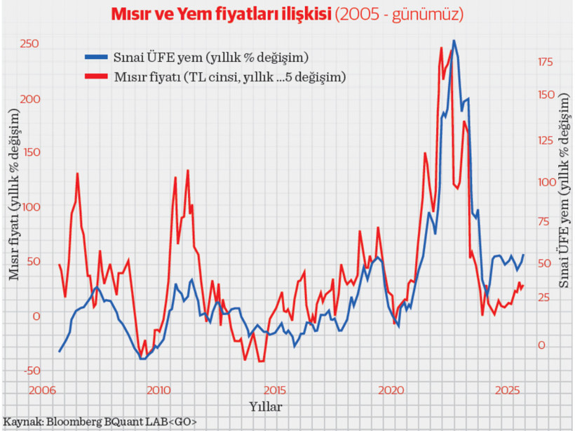 Bir uçan bir kaçan bir de patlayan: Biyo-yakıt mevzuatı ve mısır fiyatının Türkiye etkisi - Resim : 3