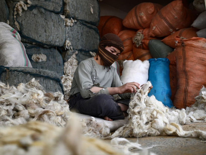 Dünya pazarına sunulan Afgan halısının üretim merkezleri arasında Türkiye de var - Resim: 1