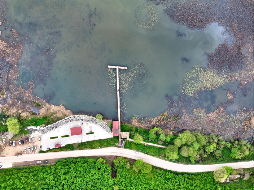 Efteni Kuş Cenneti'nden muhteşem doğa manzaraları! Doğanın keyfini çıkartmak isteyenlere yeşil rota - Resim: 2