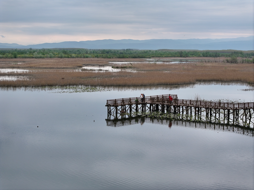 Efteni Kuş Cenneti'nden muhteşem doğa manzaraları! Doğanın keyfini çıkartmak isteyenlere yeşil rota - Resim: 5
