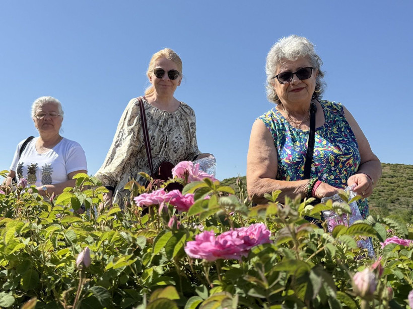 Gülün başkentinde hasat vakti! Isparta'da güller toplanmaya başlandı - Resim: 2