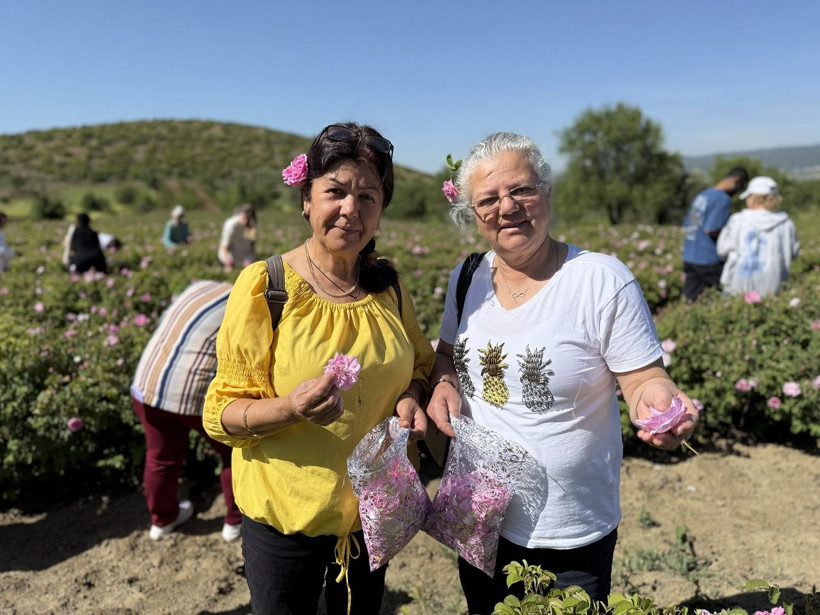 Gülün başkentinde hasat vakti! Isparta'da güller toplanmaya başlandı - Resim: 4