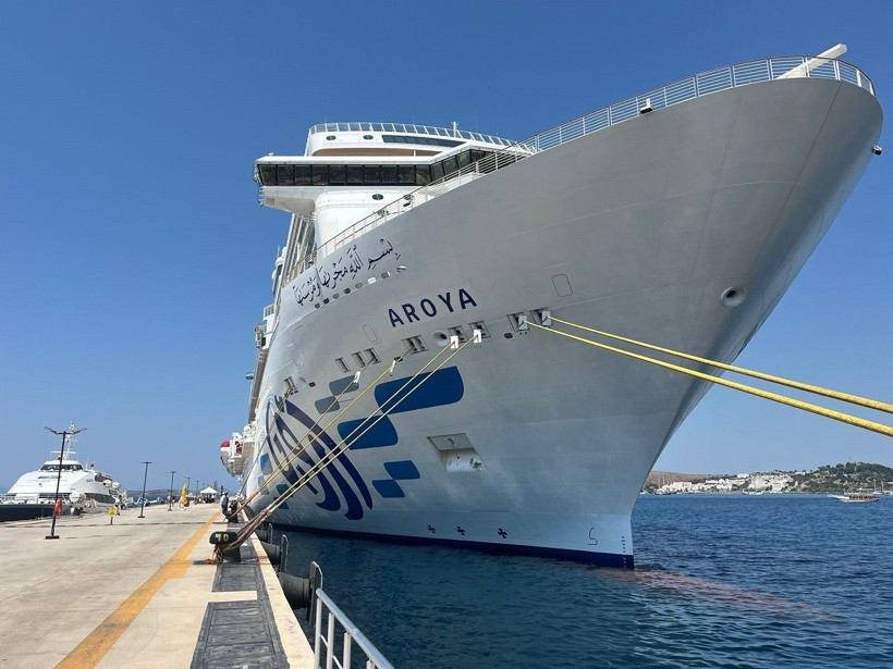 Dev yolcu gemisi Aroya Bodrum'da: İçinde spa, tiyatro ve 15 restoran bulunuyor! - Resim: 2