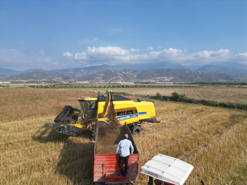 Türkiye’nin ihtiyacının yüzde 75’i buradan karşılanıyor, kilosu 100 liradan gidiyor! - Resim: 2