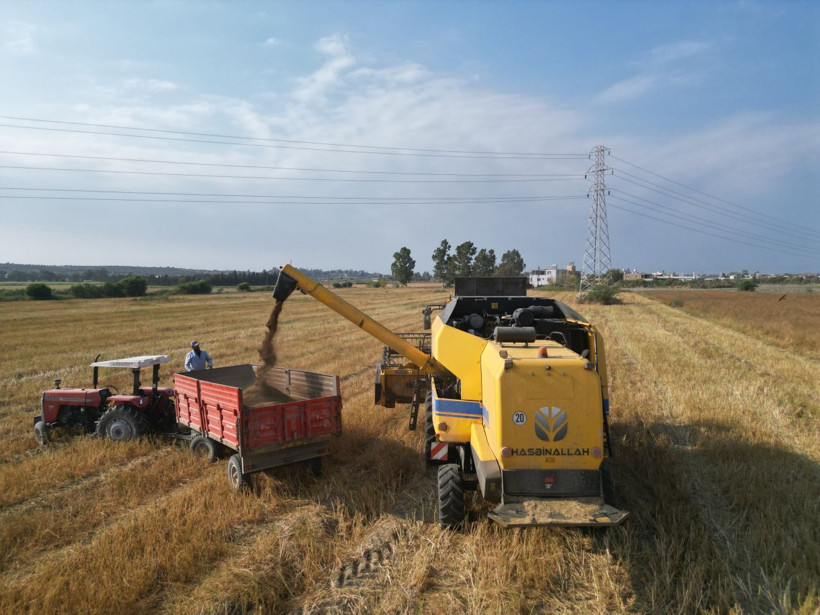 Türkiye’nin ihtiyacının yüzde 75’i buradan karşılanıyor, kilosu 100 liradan gidiyor! - Resim: 3