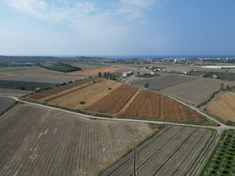 Türkiye’nin ihtiyacının yüzde 75’i buradan karşılanıyor, kilosu 100 liradan gidiyor! - Resim: 4