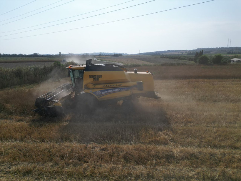 Türkiye’nin ihtiyacının yüzde 75’i buradan karşılanıyor, kilosu 100 liradan gidiyor! - Resim: 5