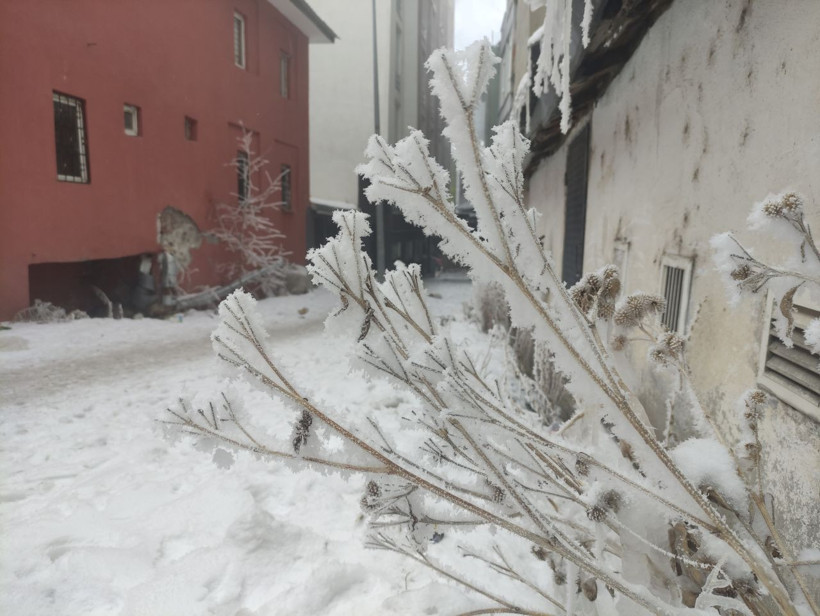 Her yer buz kesti! Arabalar çalışmıyor, kirpikler bile donuyor - Resim: 2