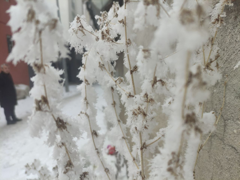 Her yer buz kesti! Arabalar çalışmıyor, kirpikler bile donuyor - Resim: 4