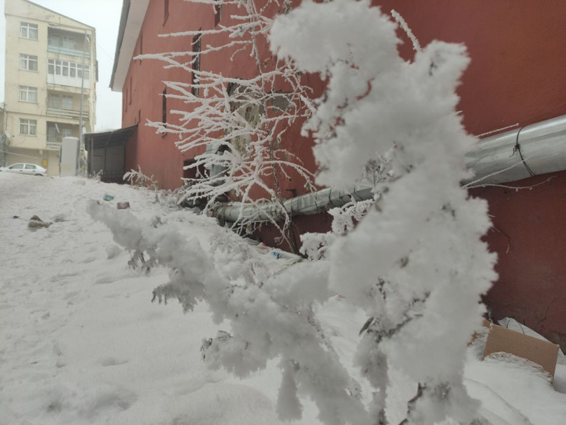 Her yer buz kesti! Arabalar çalışmıyor, kirpikler bile donuyor - Resim: 5