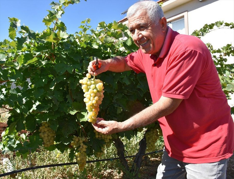 Devlet desteğiyle kurdu talebe yetişemiyor - Resim: 2