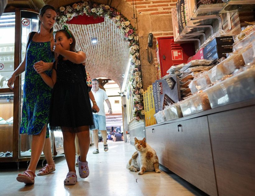 Garfield Tarçın tarihi hanın gözbebeği oldu! Şehir dışından ziyarete geliyorlar - Resim: 22