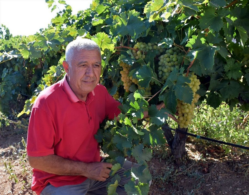 Devlet desteğiyle kurdu talebe yetişemiyor - Resim: 1