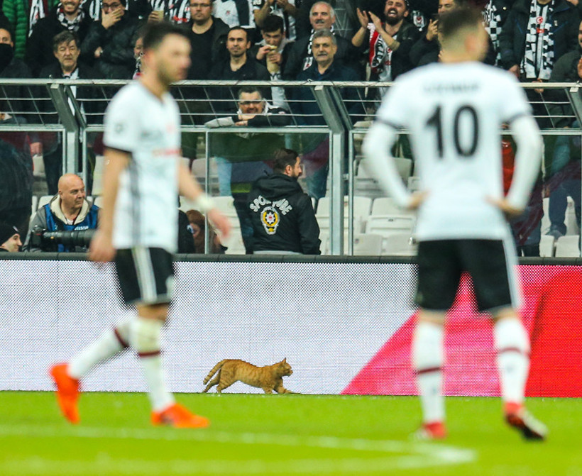 Beşiktaş Şampiyonlar Ligi'ne veda etti - Resim : 7