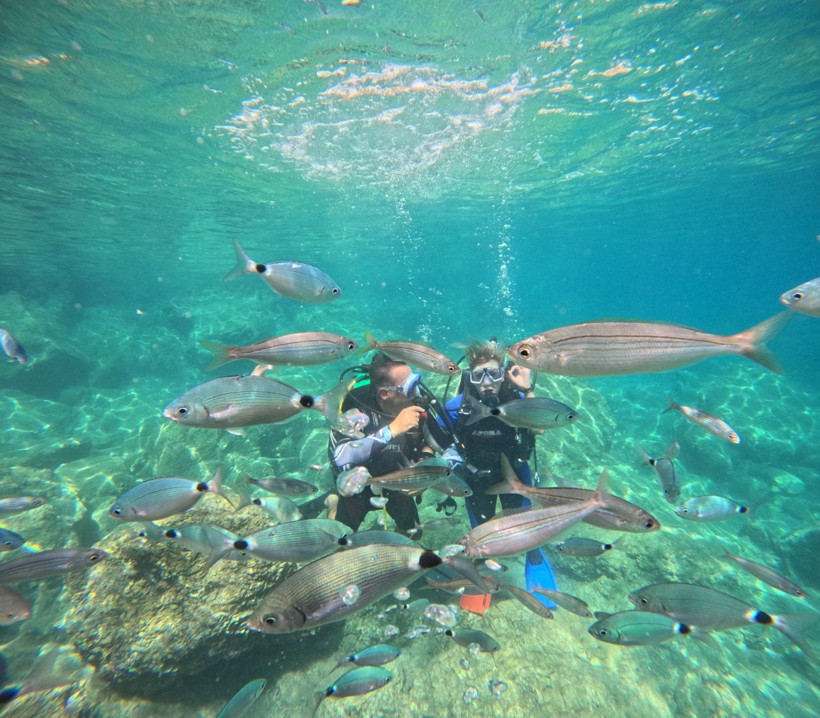 Marmaris’te dalış turizmi yerli turistle canlandı - Resim : 1