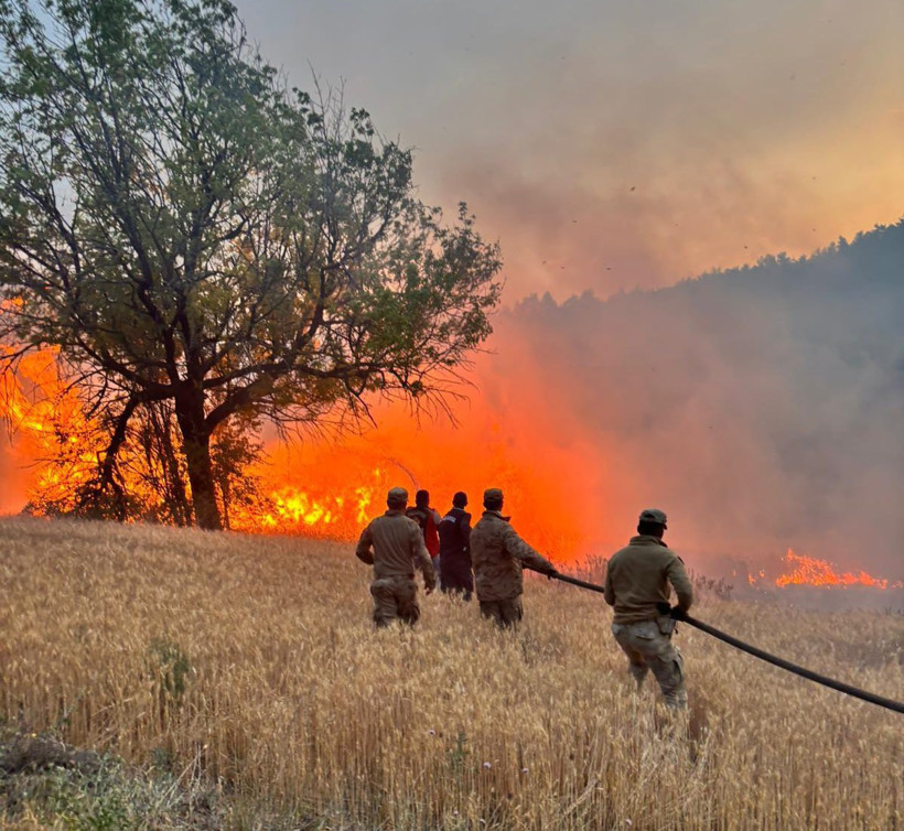 Tarım makineleri, ateş yakmak, ihmal… Orman yangınlarının sebepleri belli oldu: 4 kişi tutuklandı - Resim : 3