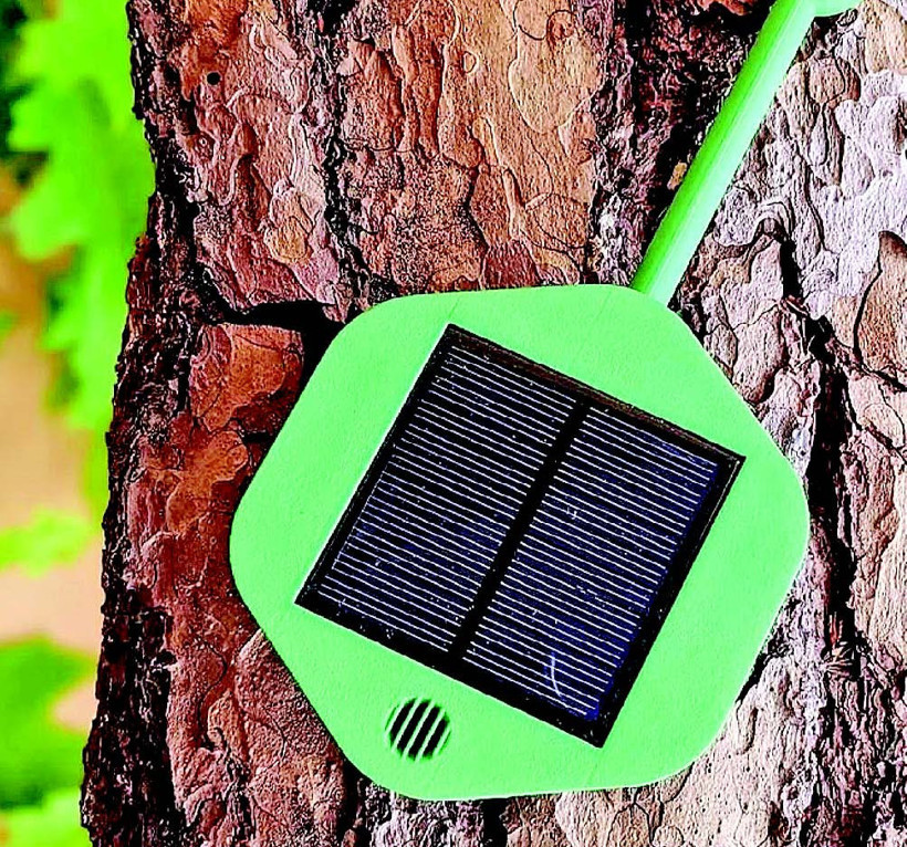 "Ormanları yangına karşı 'ağaç perisi'yle koruyalım" - Resim : 1