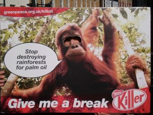 Sosyal dönüşümün sosyal medyası - Resim : 2