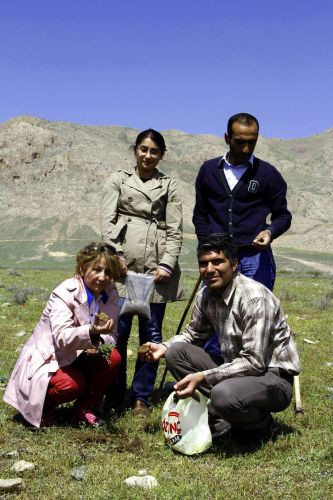 10-013.jpg 10-013.jpg