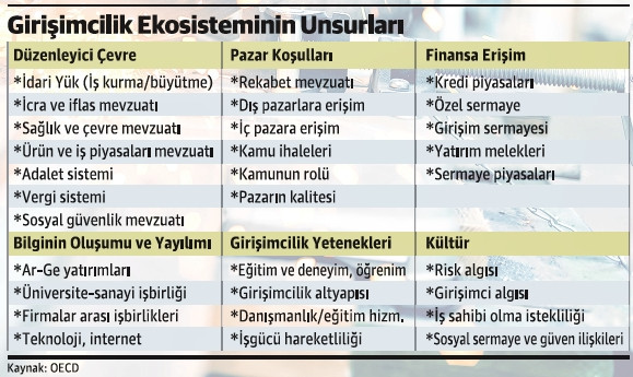 cats-103.jpg cats-103.jpg