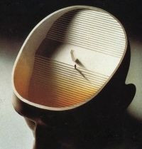 Fikirlerin gücüne inanan kurum - TED - Resim : 4