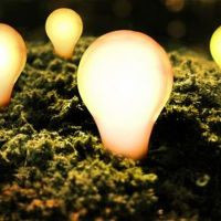 Fikirlerin gücüne inanan kurum - TED - Resim : 5