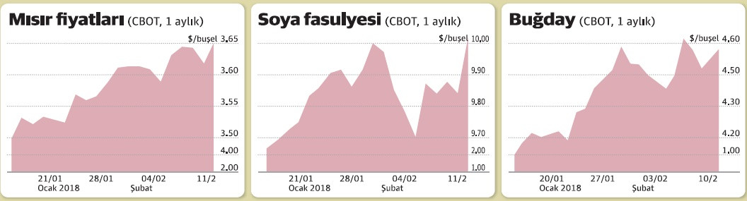 Havalar bozdu, tarımsal emtia ralli yaptı - Resim : 1