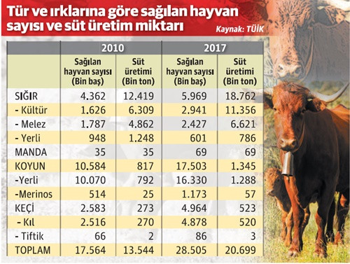 Üretilen sütün yarısı ticari işletmelerce işleniyor - Resim : 1