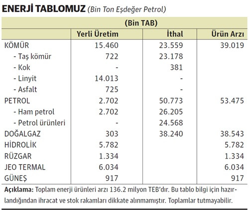 Enerjide yerlinin payı %25 - Resim : 1