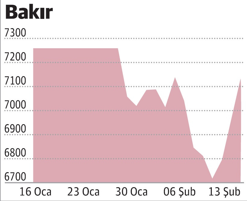 Dolardan kaçan 'metal'e yöneldi - Resim : 2