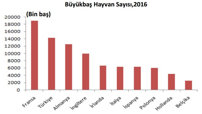 Türkiye koyun sayısında AB'de birinci - Resim : 1