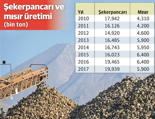 Şekerde özelleştirmenin odağındaki iki ürün; pancar ve mısır - Resim : 1