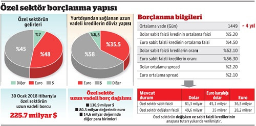 Dolar ve euroda 'farklı' hesaplama - Resim : 1