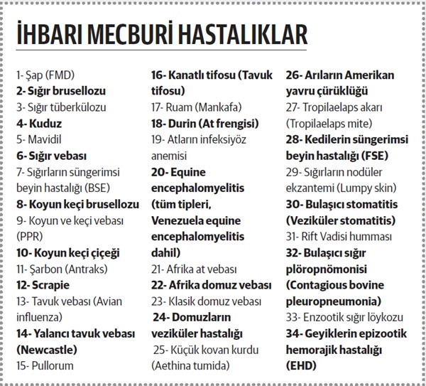 Hayvan hastalıklarını artıran 3 neden - Resim : 1
