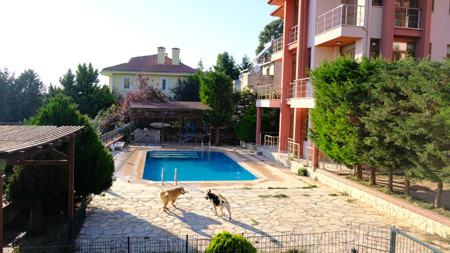 Hayvan dostları için konaklama fırsatları - Resim : 1