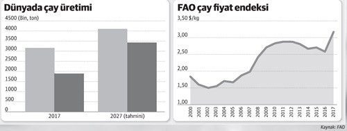 Çay üretiminde Çin, Türkiye'nin önüne geçecek - Resim : 1