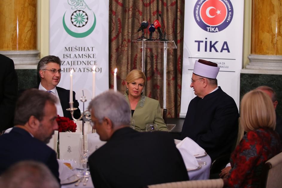 Atılan taş, vurulan kuş ve Hırvatistan - Resim : 1