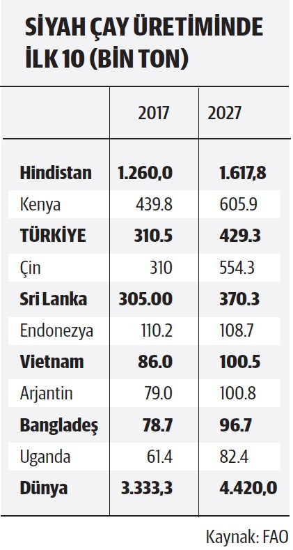 Çay üretiminde Çin, Türkiye'nin önüne geçecek - Resim : 2