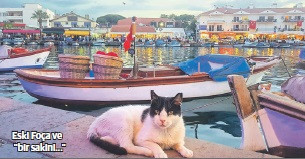 Doğadan tarihe sanattan spora 16 rota - Resim : 6