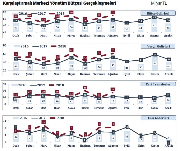 Döviz kuru, enflasyon, kamu maliyesi ve ödemeler dengesi - Resim : 3